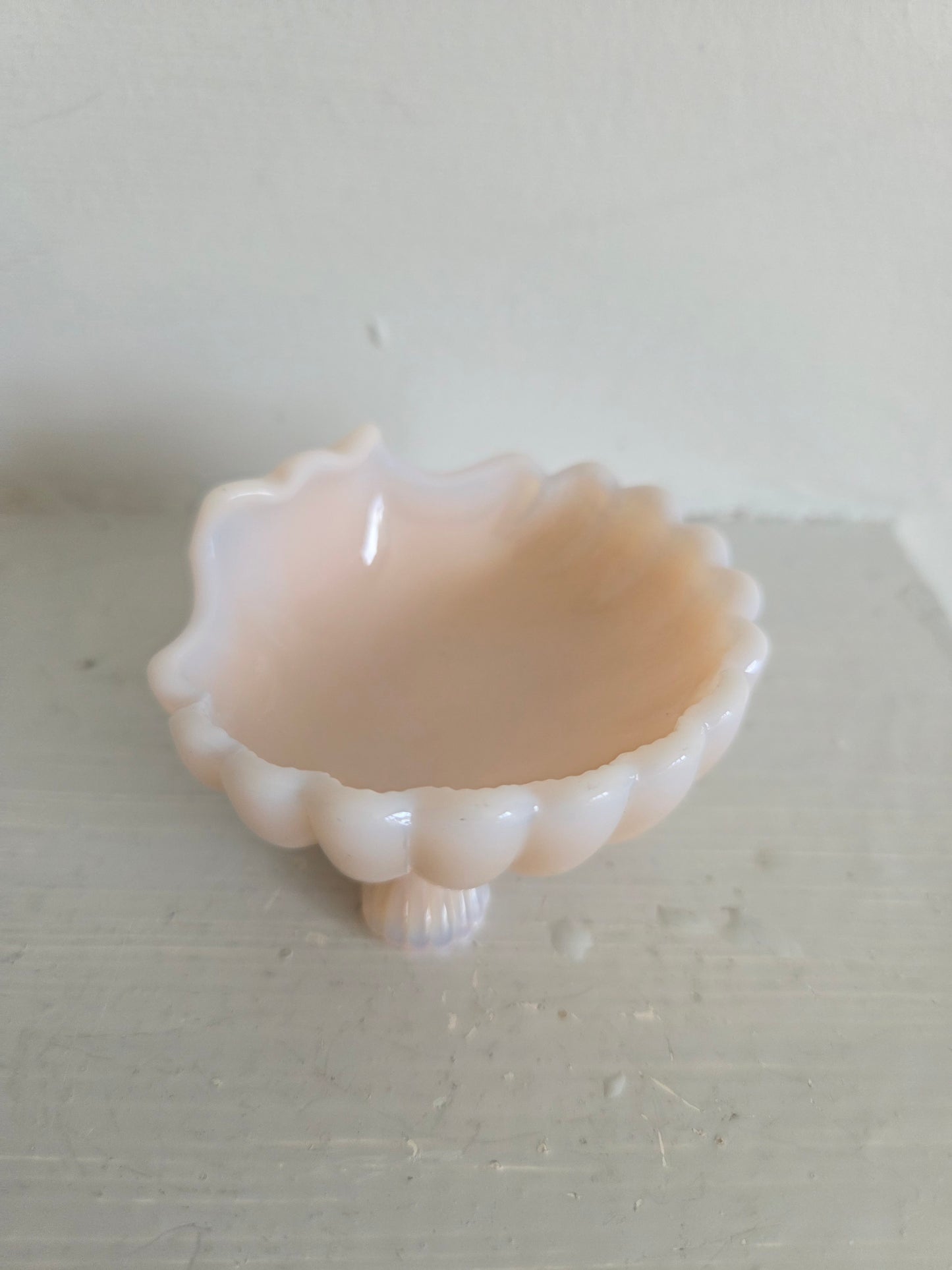 Pink Shell Salt Cellar or Ring Dish