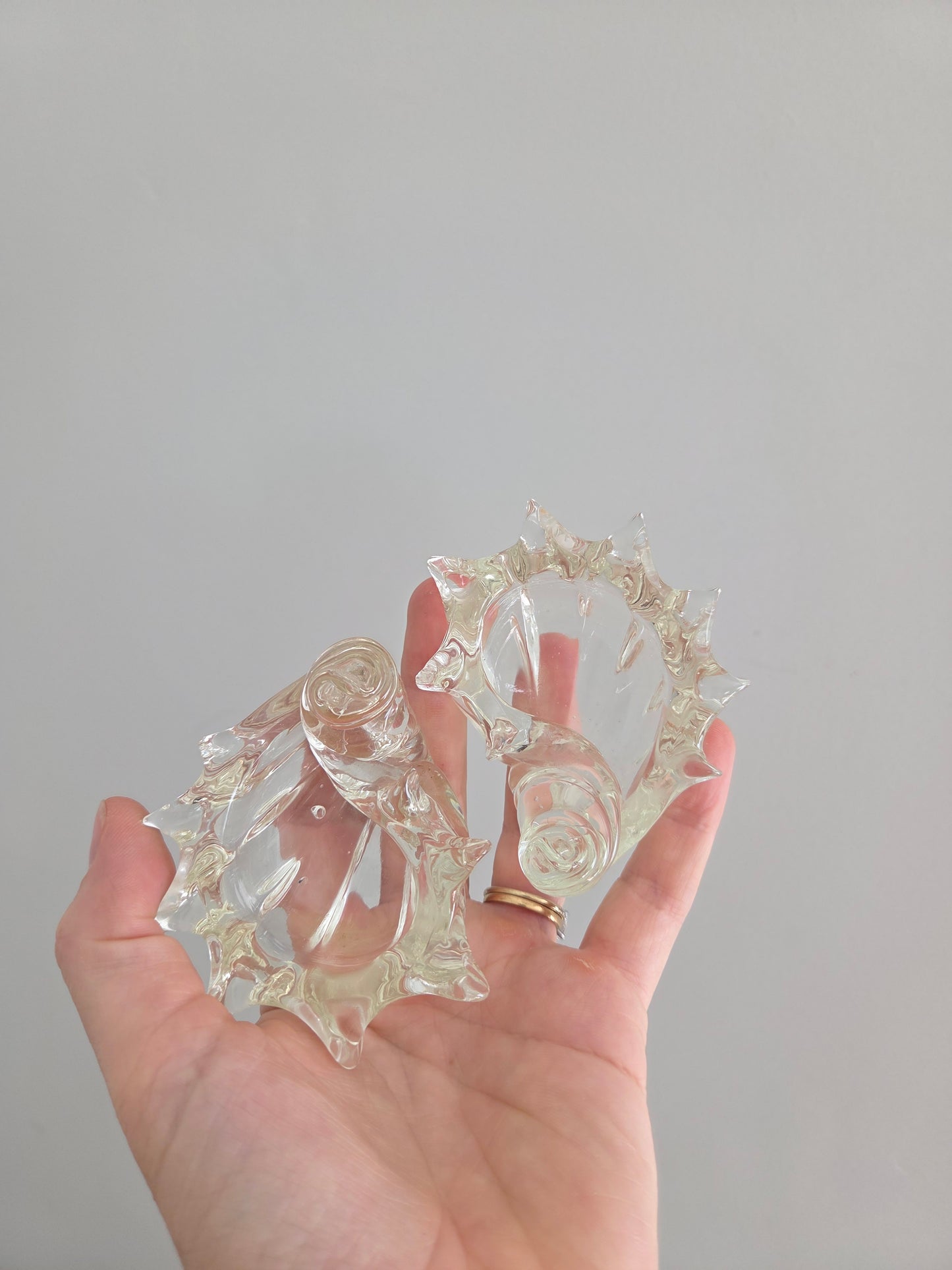 A Pair of Glass Shell Trinket Dishes