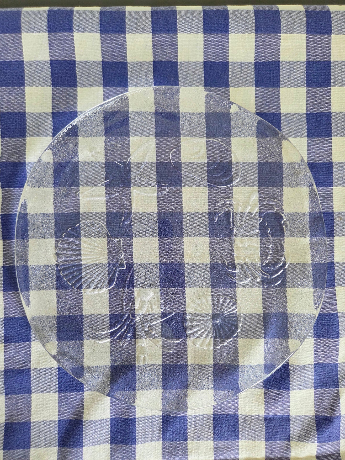 Vintage Glass Sea Themed Plate