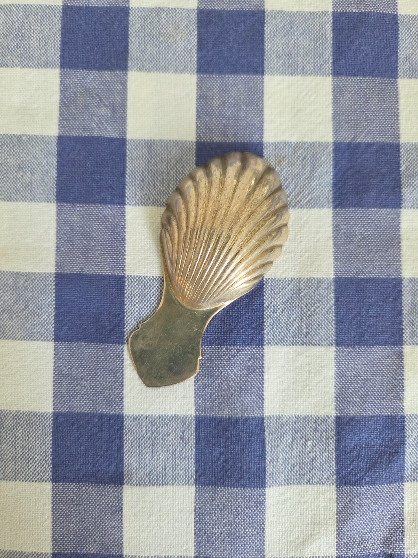 Silver Shell Spoon