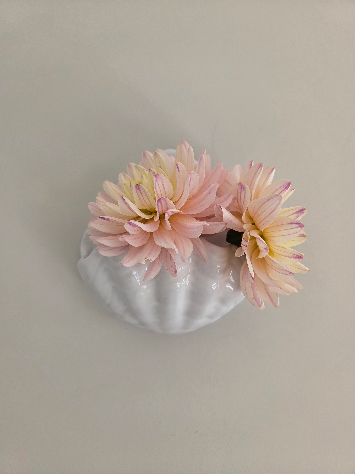 Vintage Shell Wall Pocket