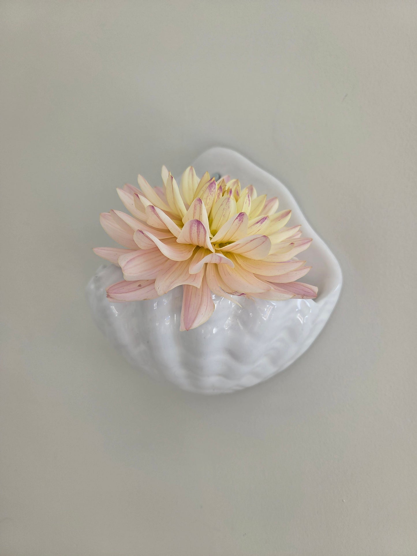 Vintage Shell Wall Pocket