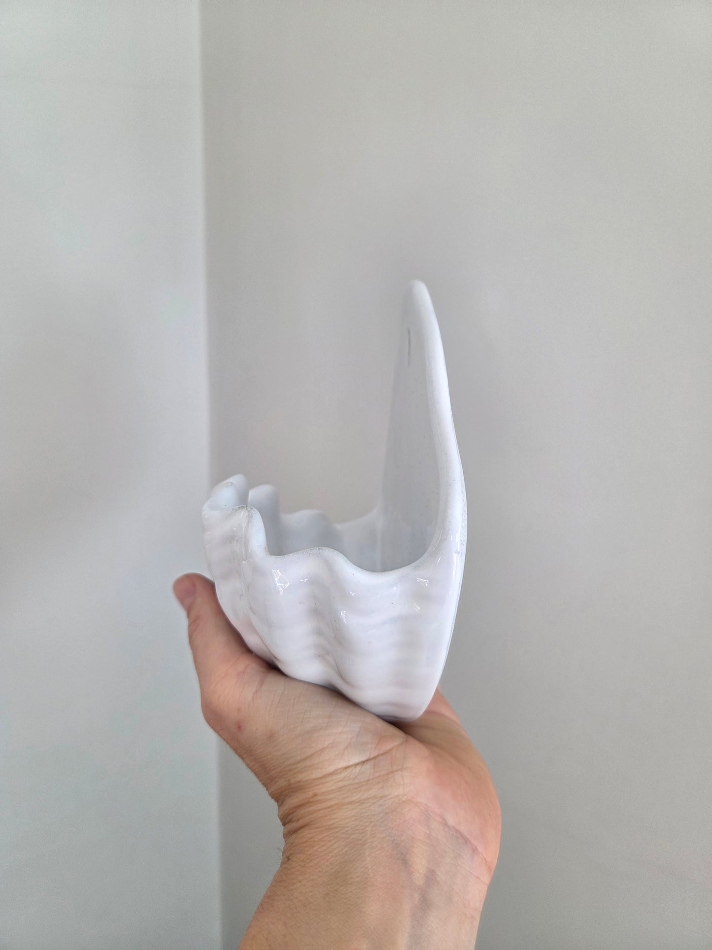 Vintage Shell Wall Pocket