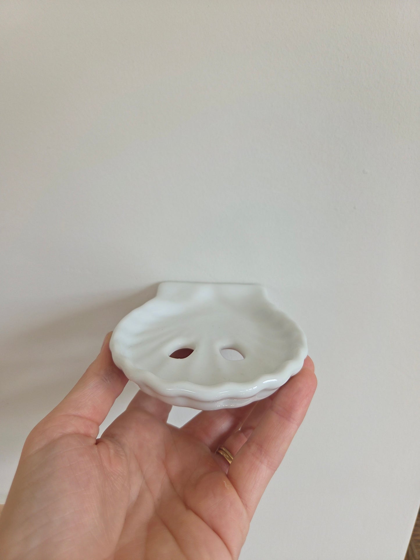 Small Wall Mounted Shell Soap Dish