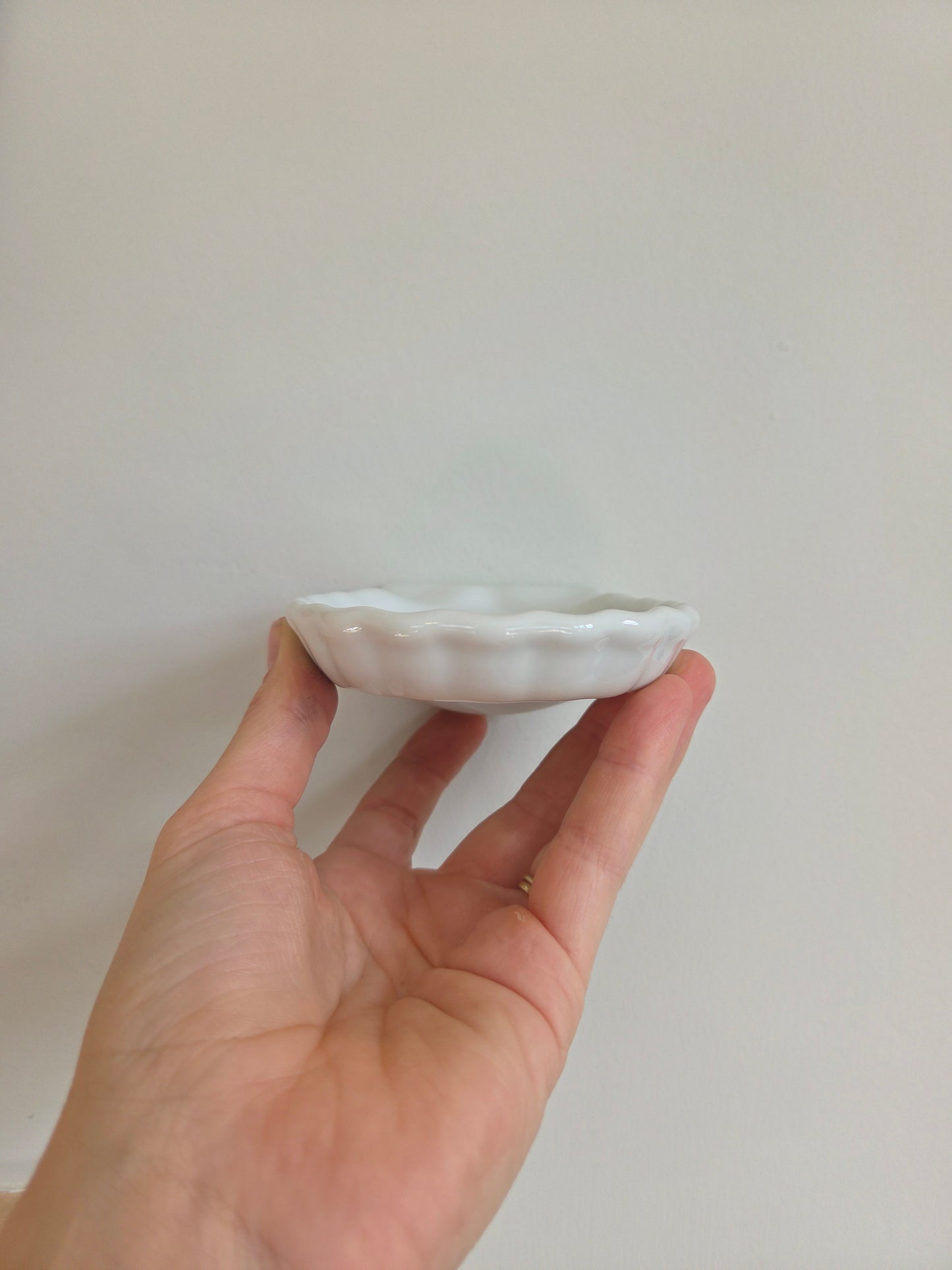 Small Wall Mounted Shell Soap Dish
