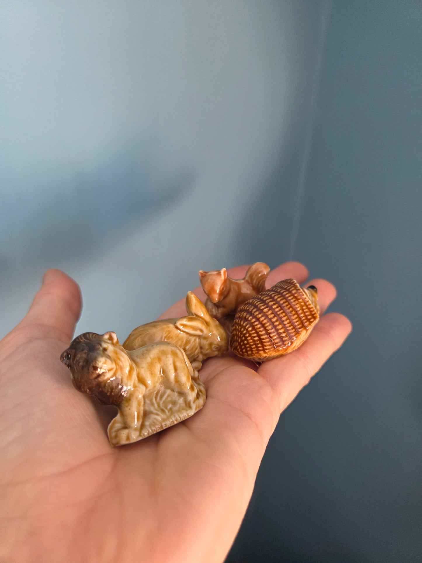 Wade Whimsy - Rabbit