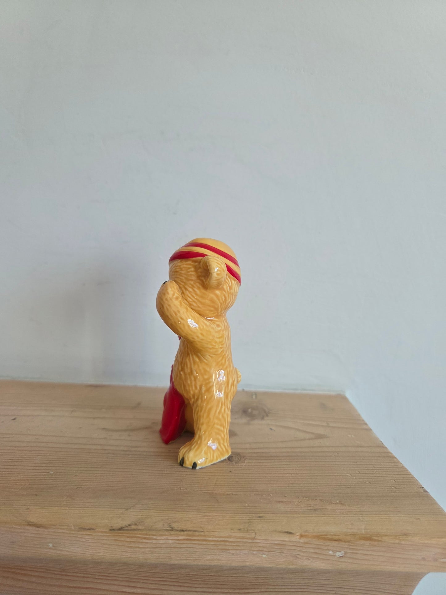 Teddy Ornament with Hot Water Bottle