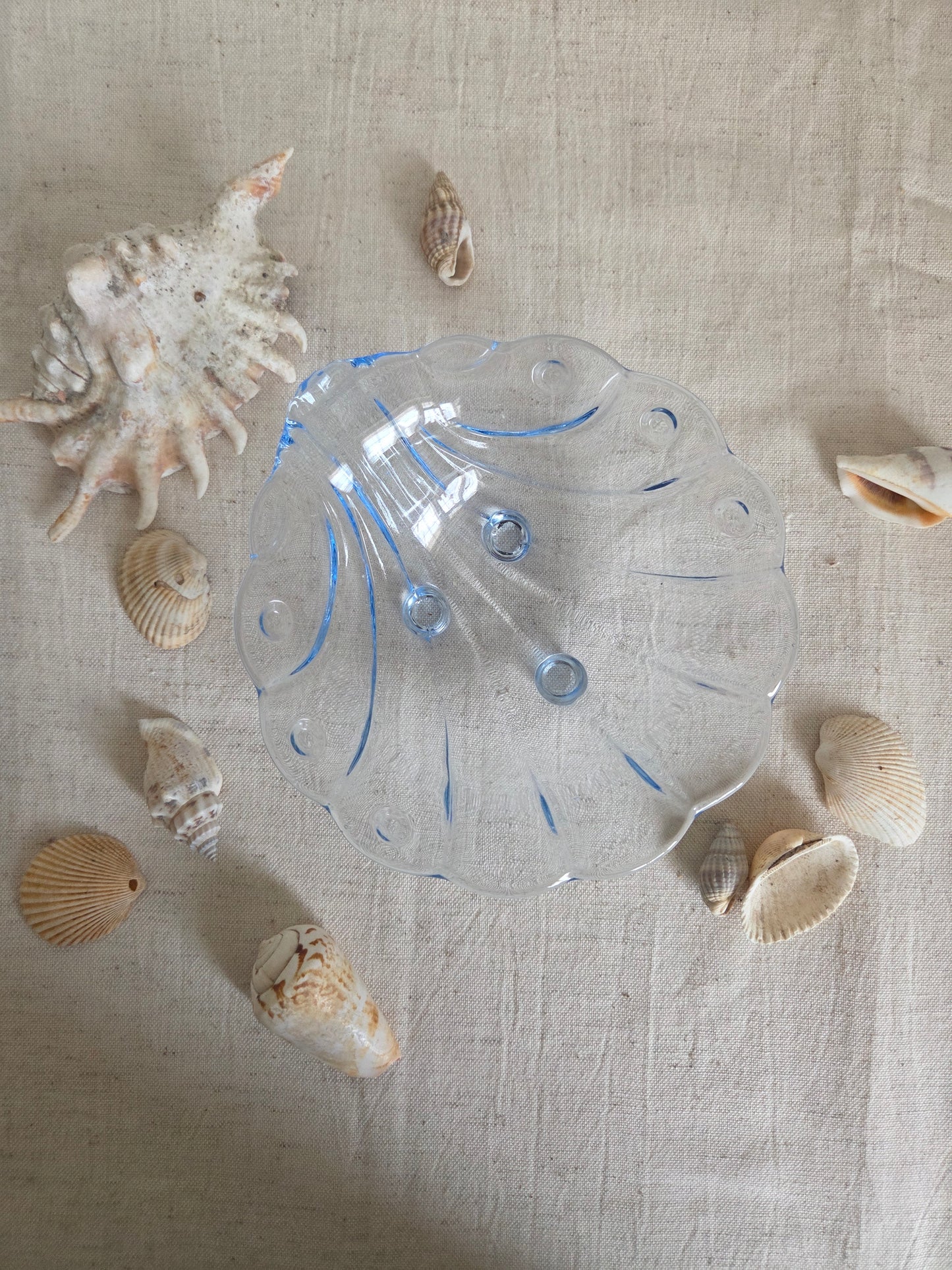 Set of Blue Glass Shell Dishes