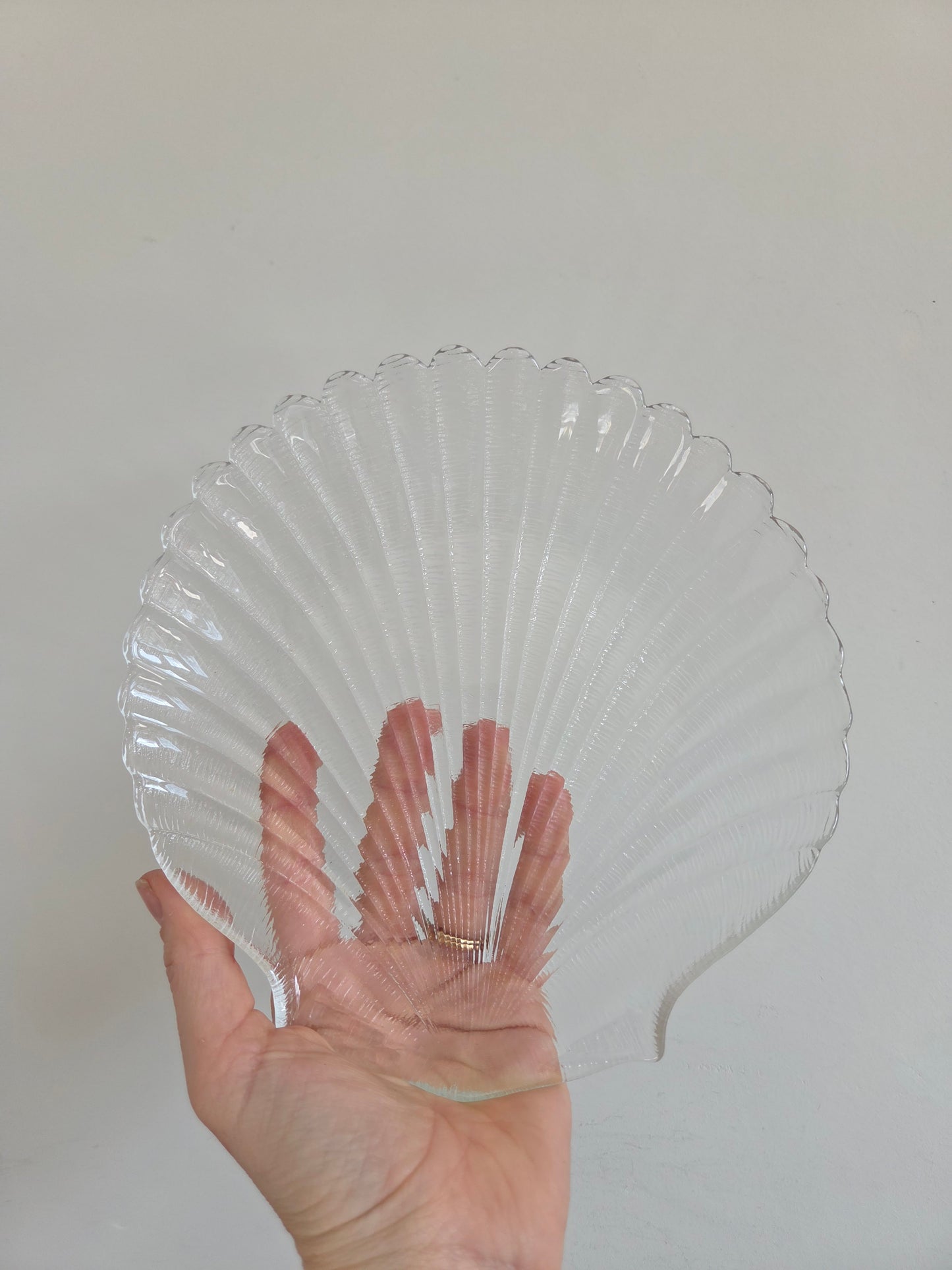 Glass Shell Plate