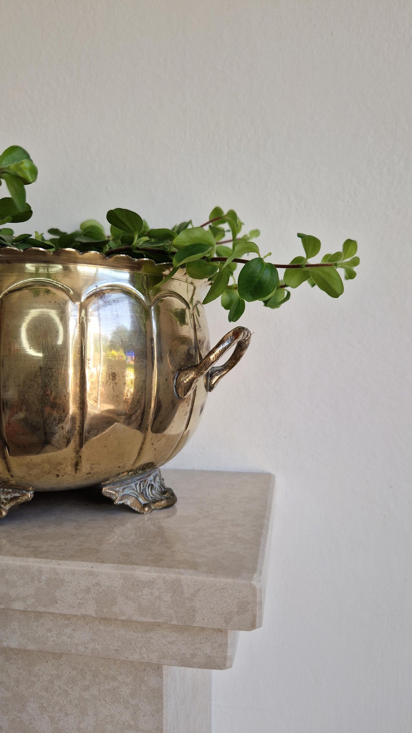 Antique Brass Footed Planter