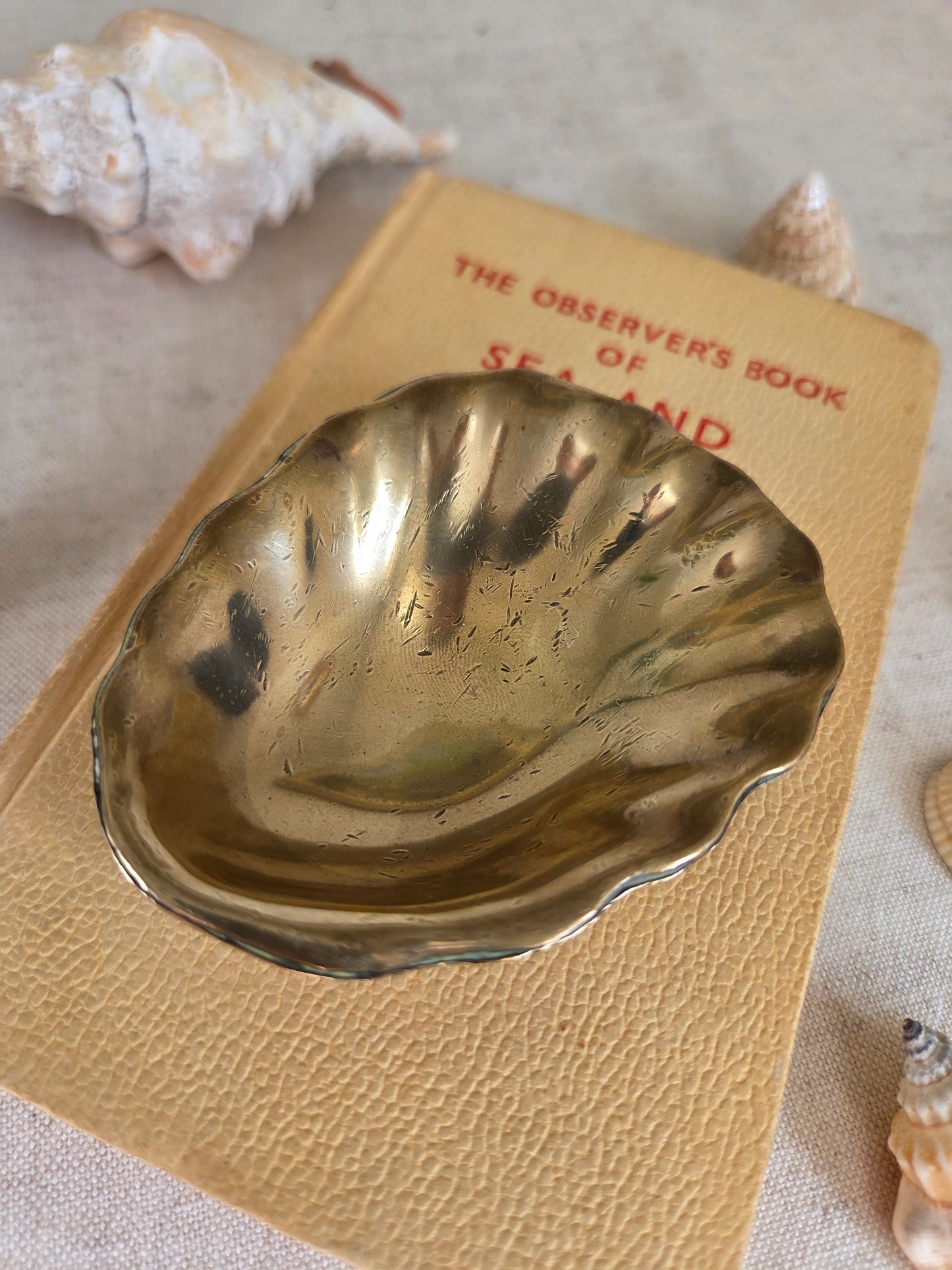Brass Oyster Trinket