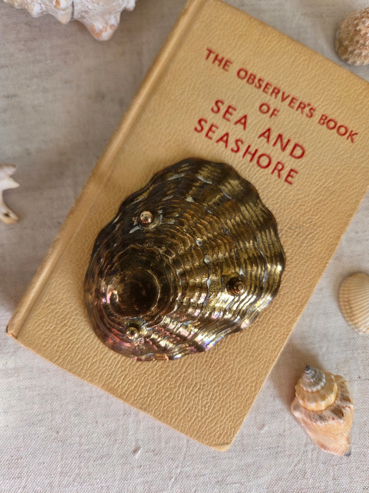 Brass Oyster Trinket Dish