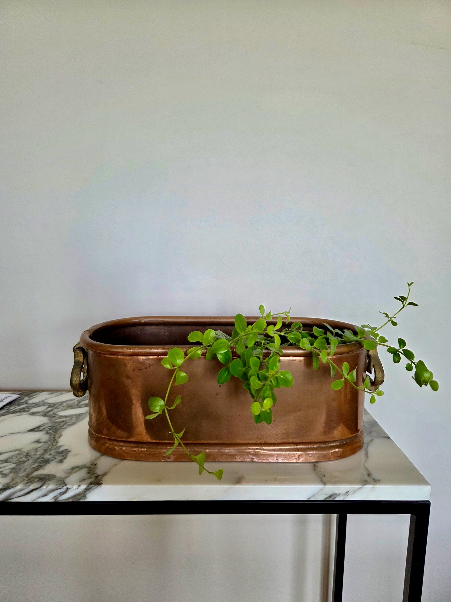 Small Copper Planter