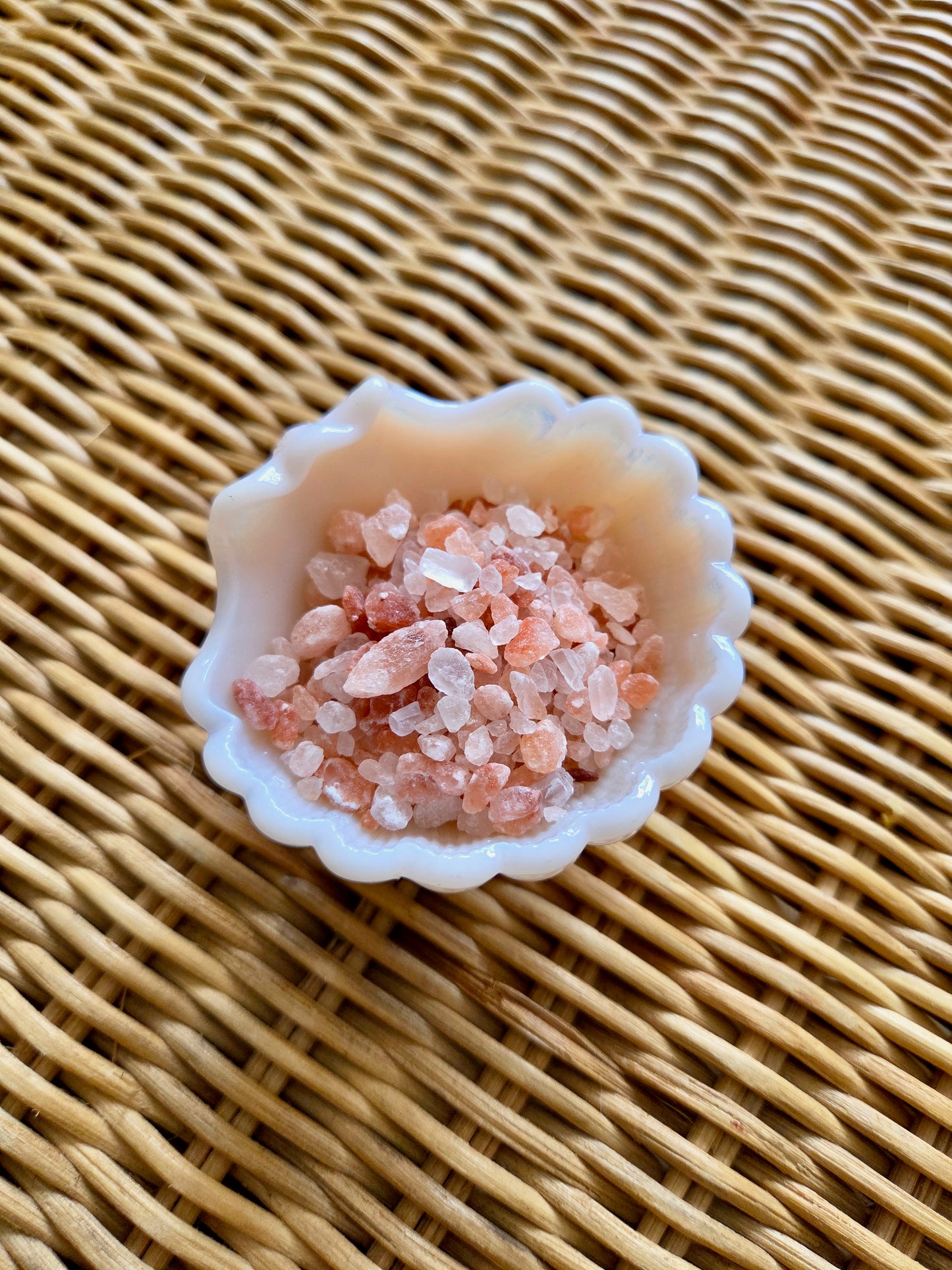 Pink Shell Salt Cellar or Ring Dish
