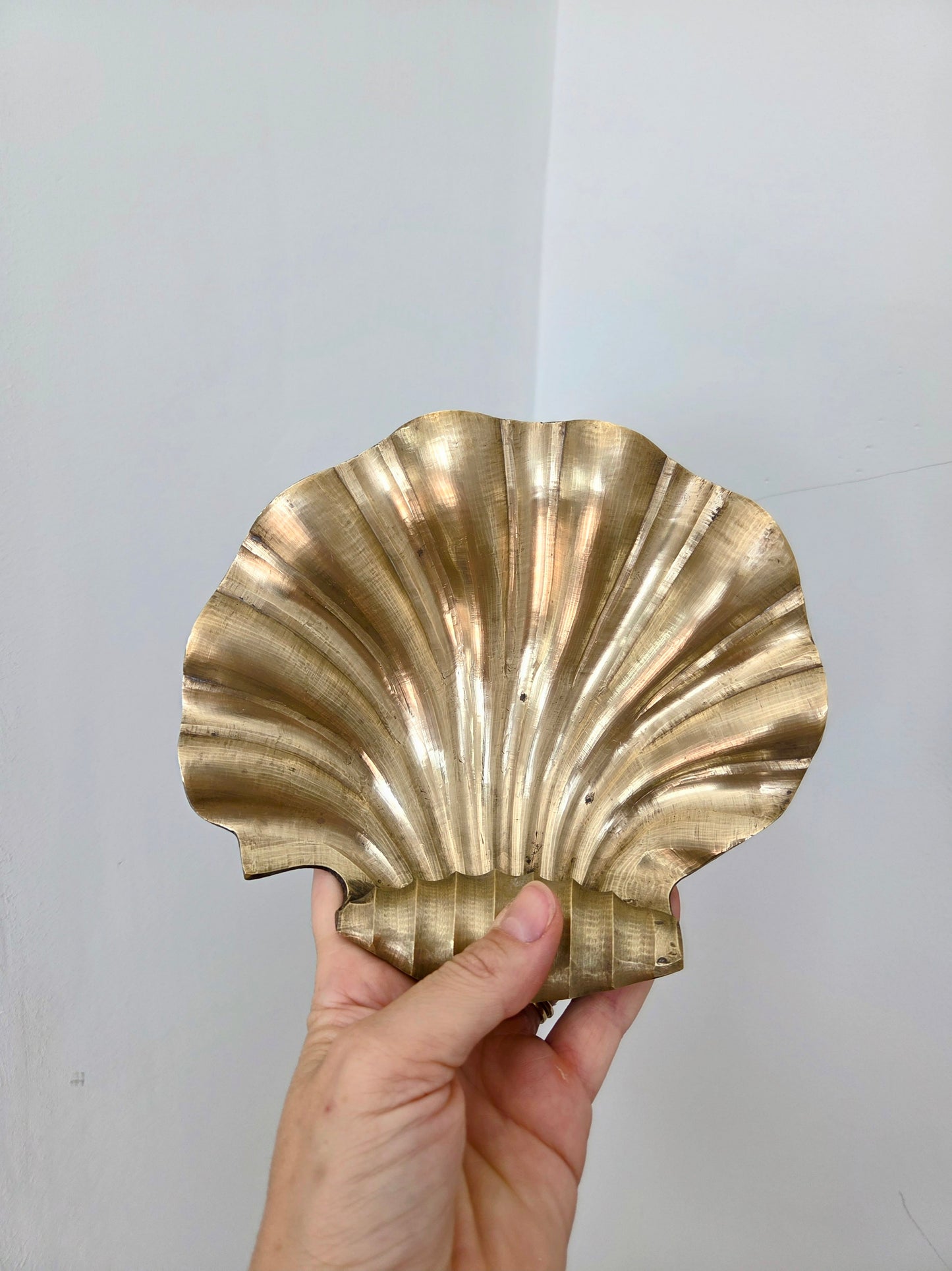 Rolled Edge Brass Clam Shell Dish