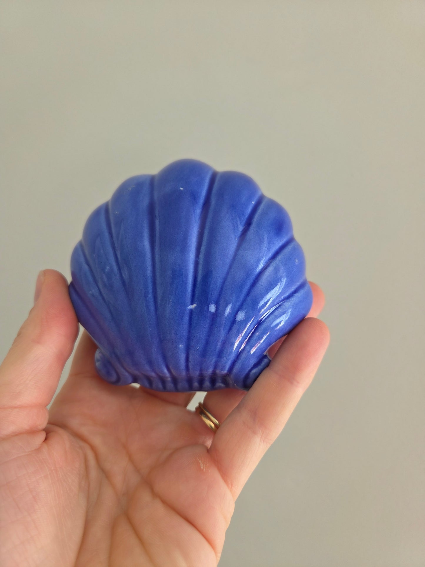 Vintage Blue Wall Shell