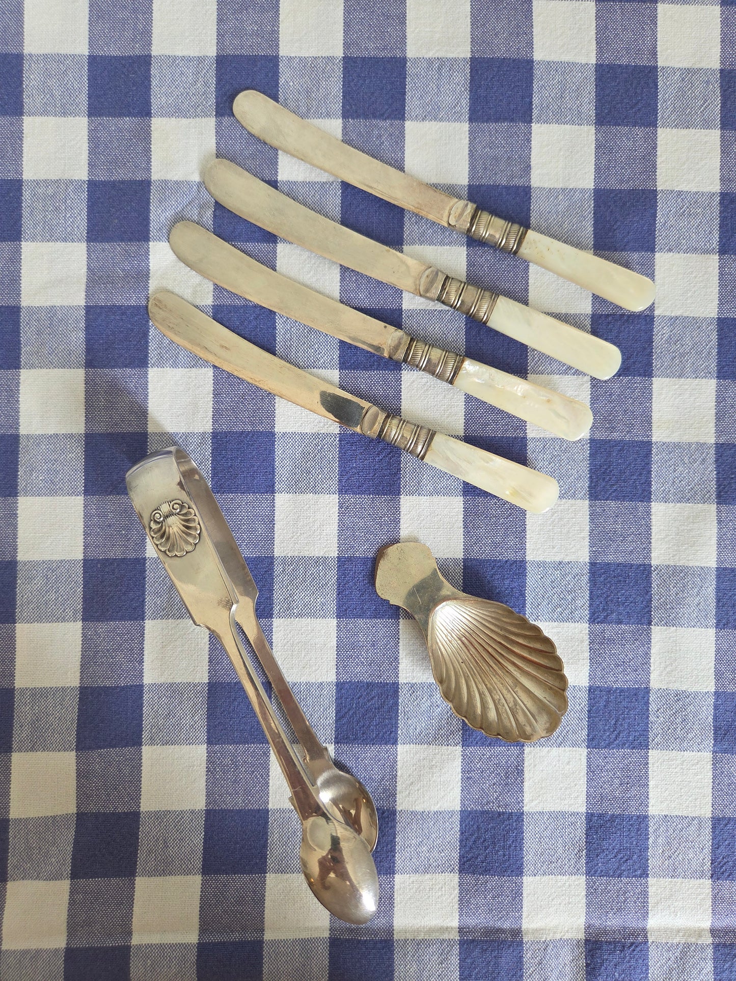 Silver Shell Spoon