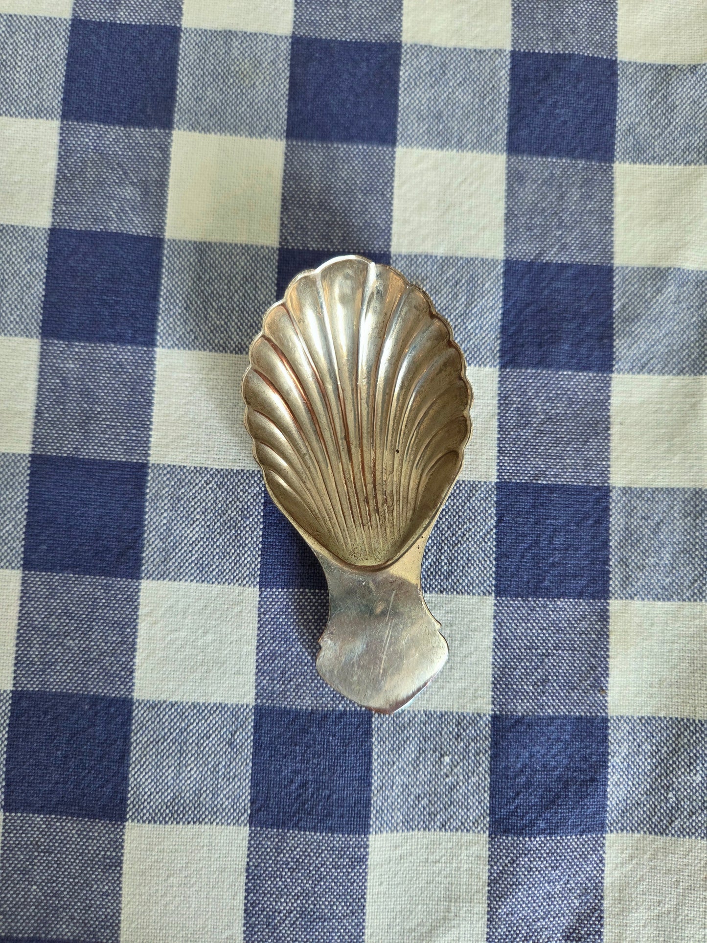 Silver Shell Spoon