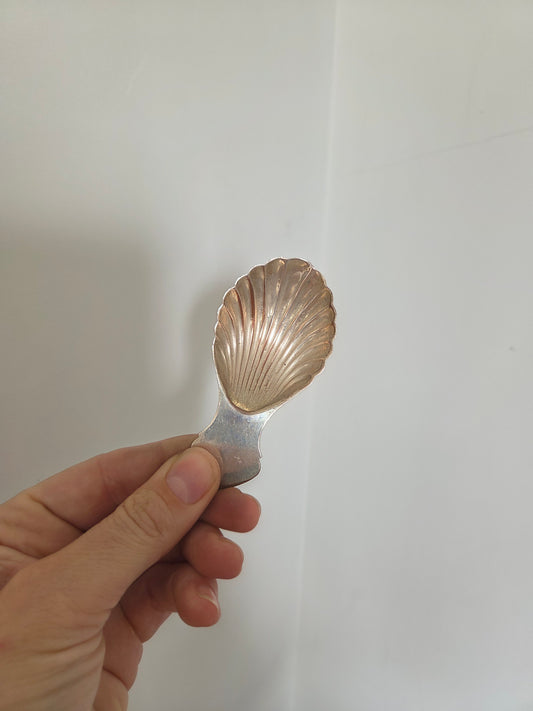 Silver Shell Spoon