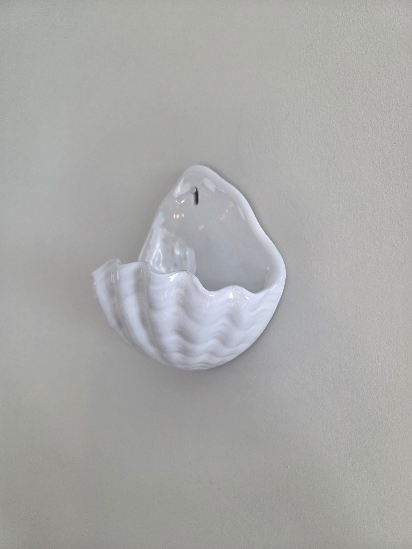 Vintage Shell Wall Pocket