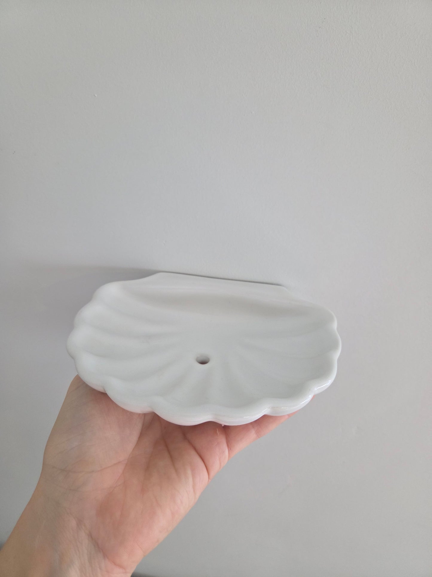 Wall Mounted Shell Soap Dish