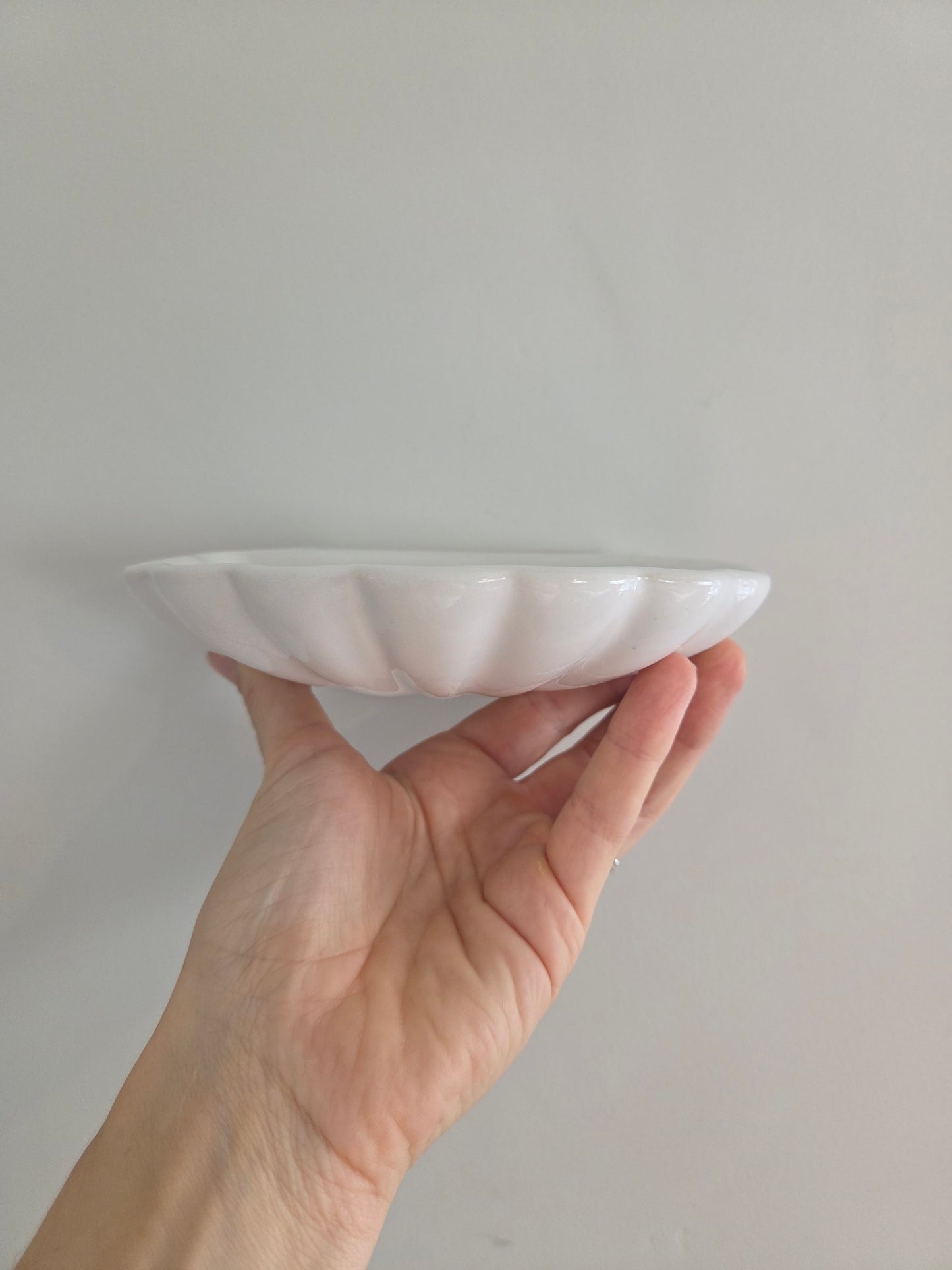 Wall Mounted Shell Soap Dish