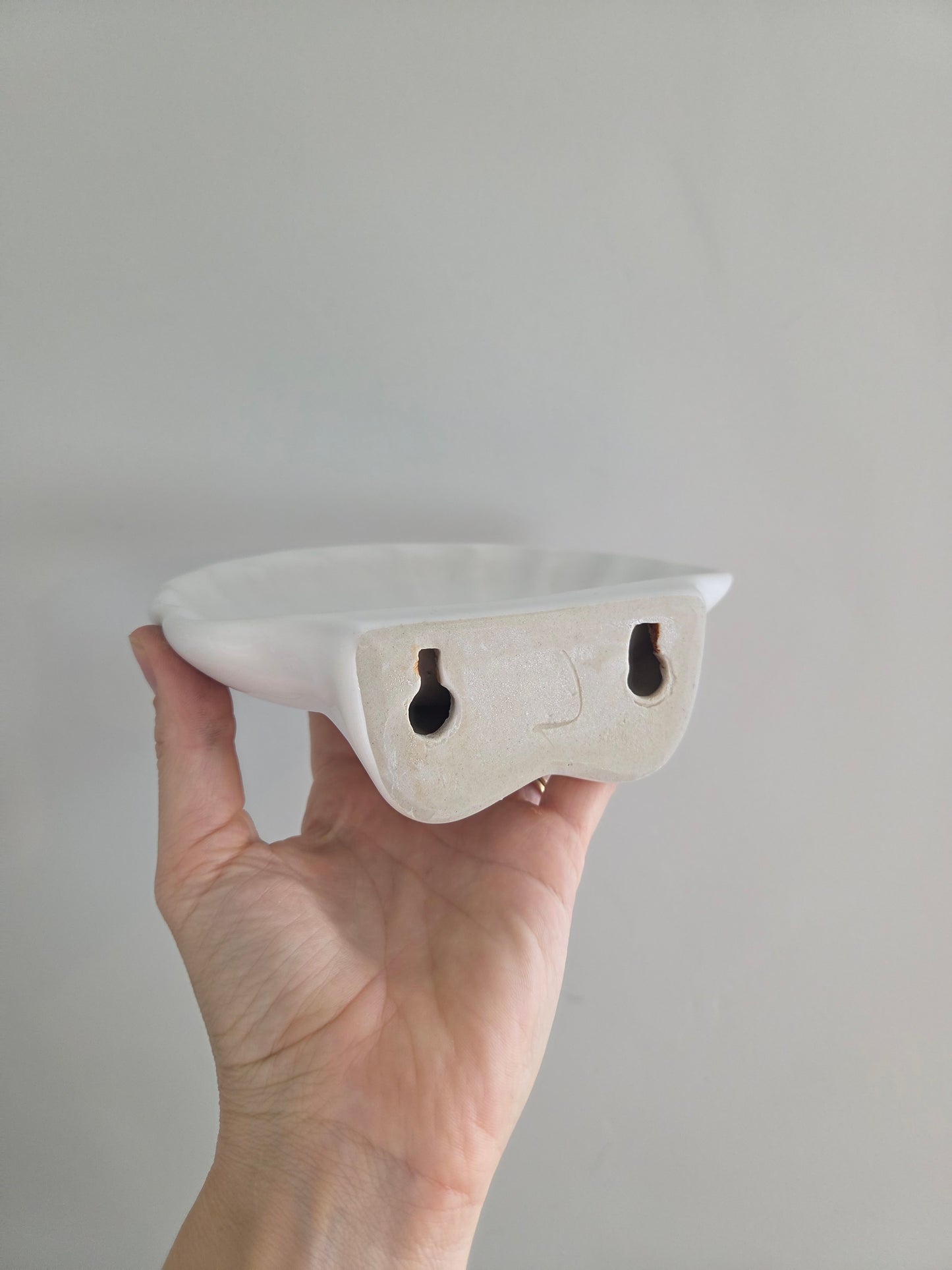 Wall Mounted Shell Soap Dish