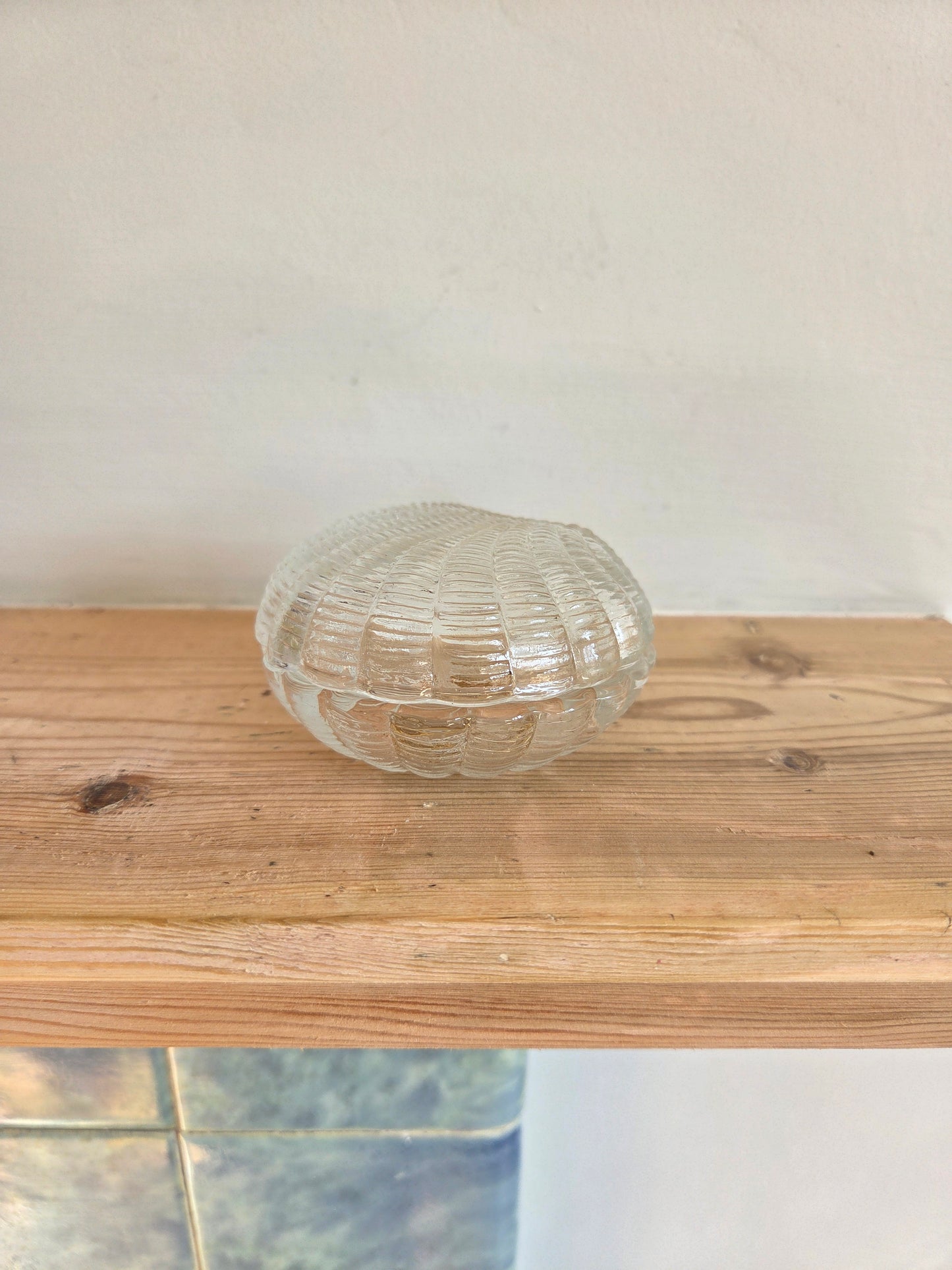 Glass Clam Shaped Lidded Pot