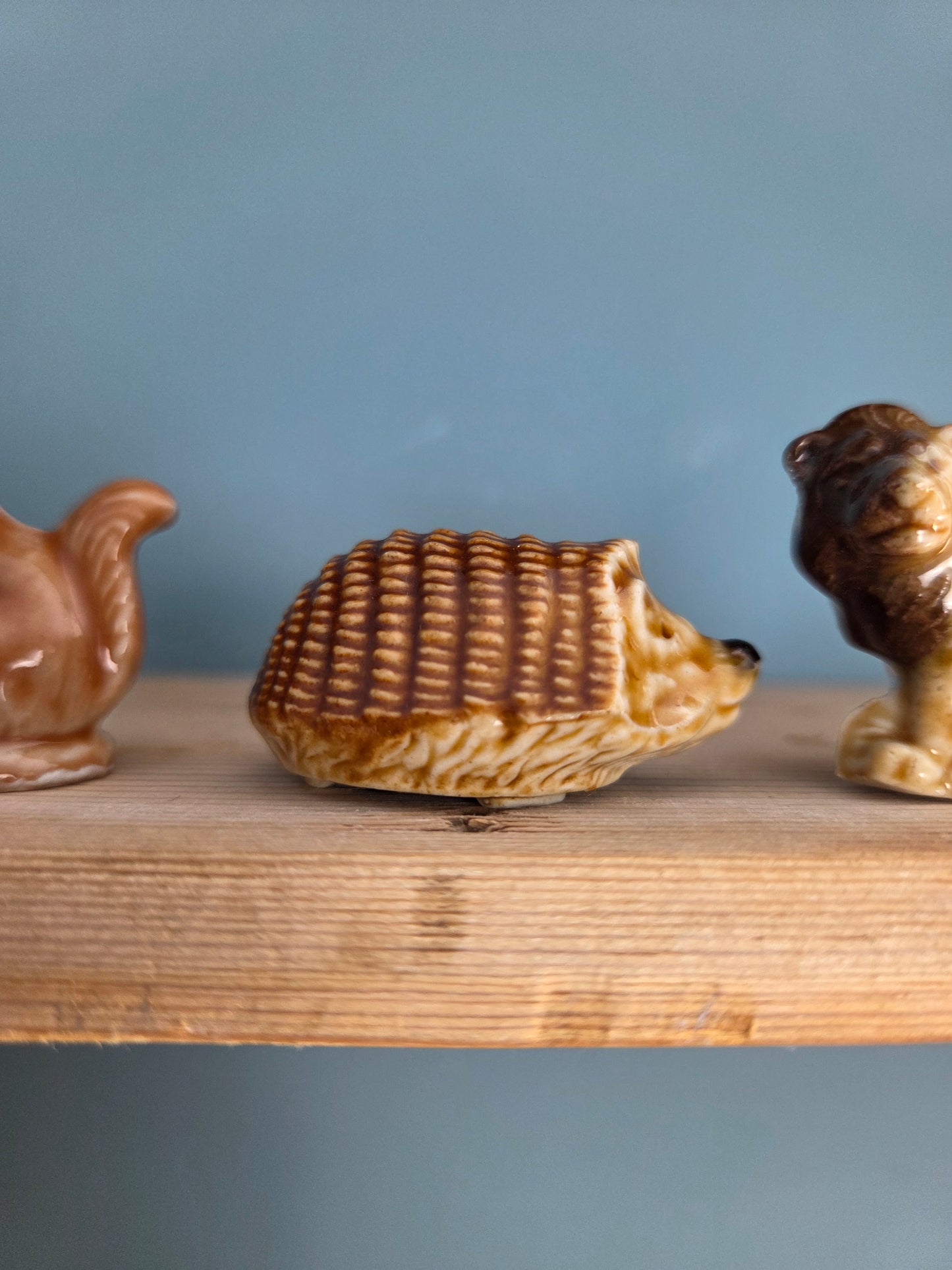 Wade Whimsy - Hedgehog