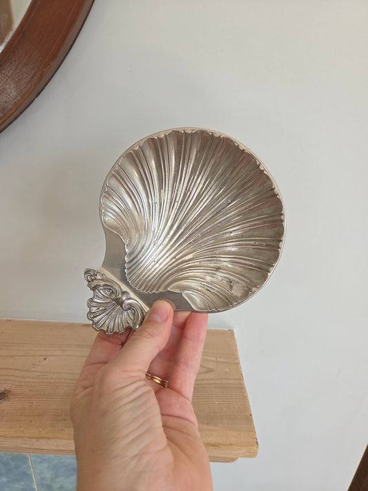 Silver Colour Shell Dish