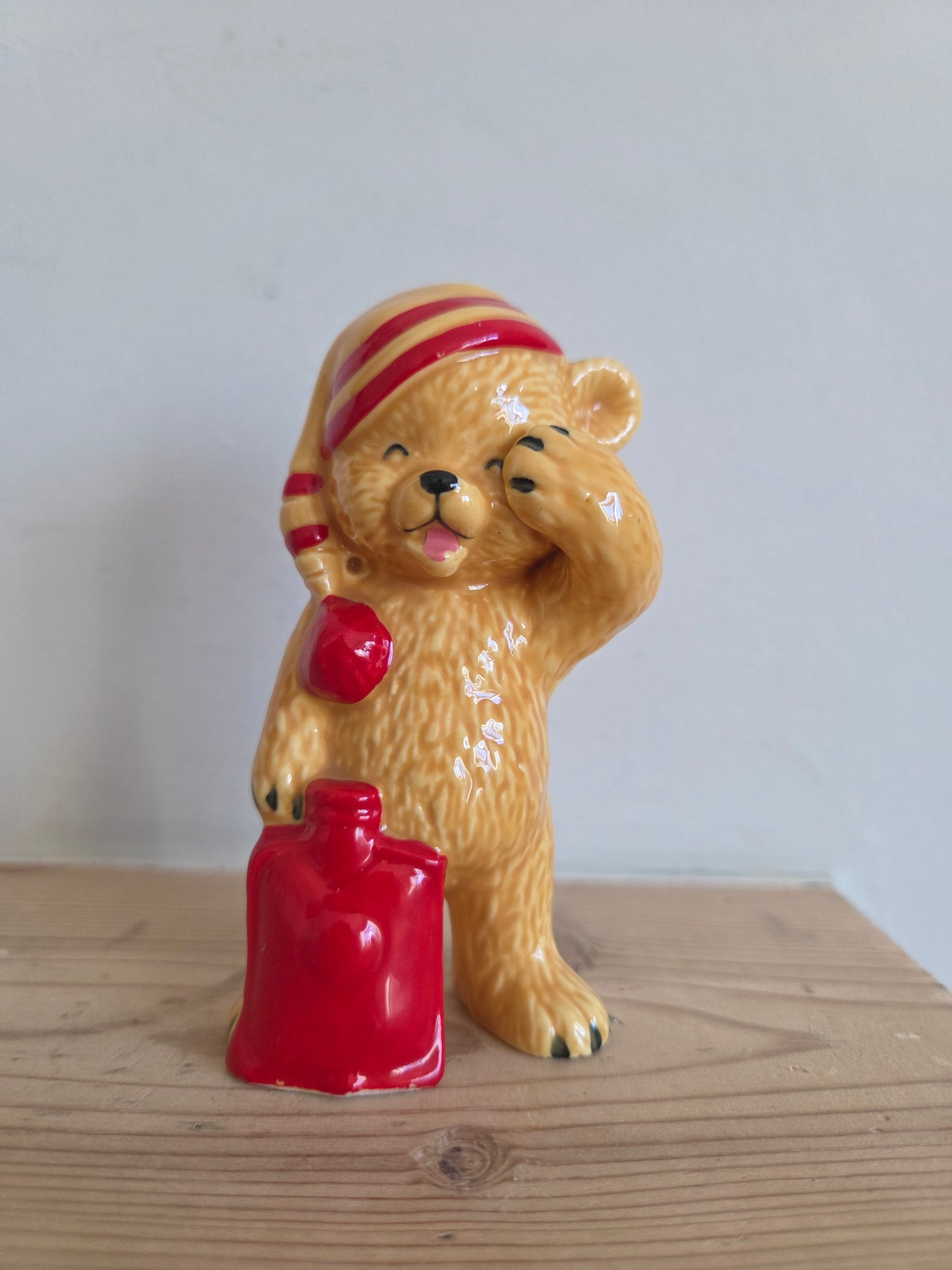 Teddy Ornament with Hot Water Bottle
