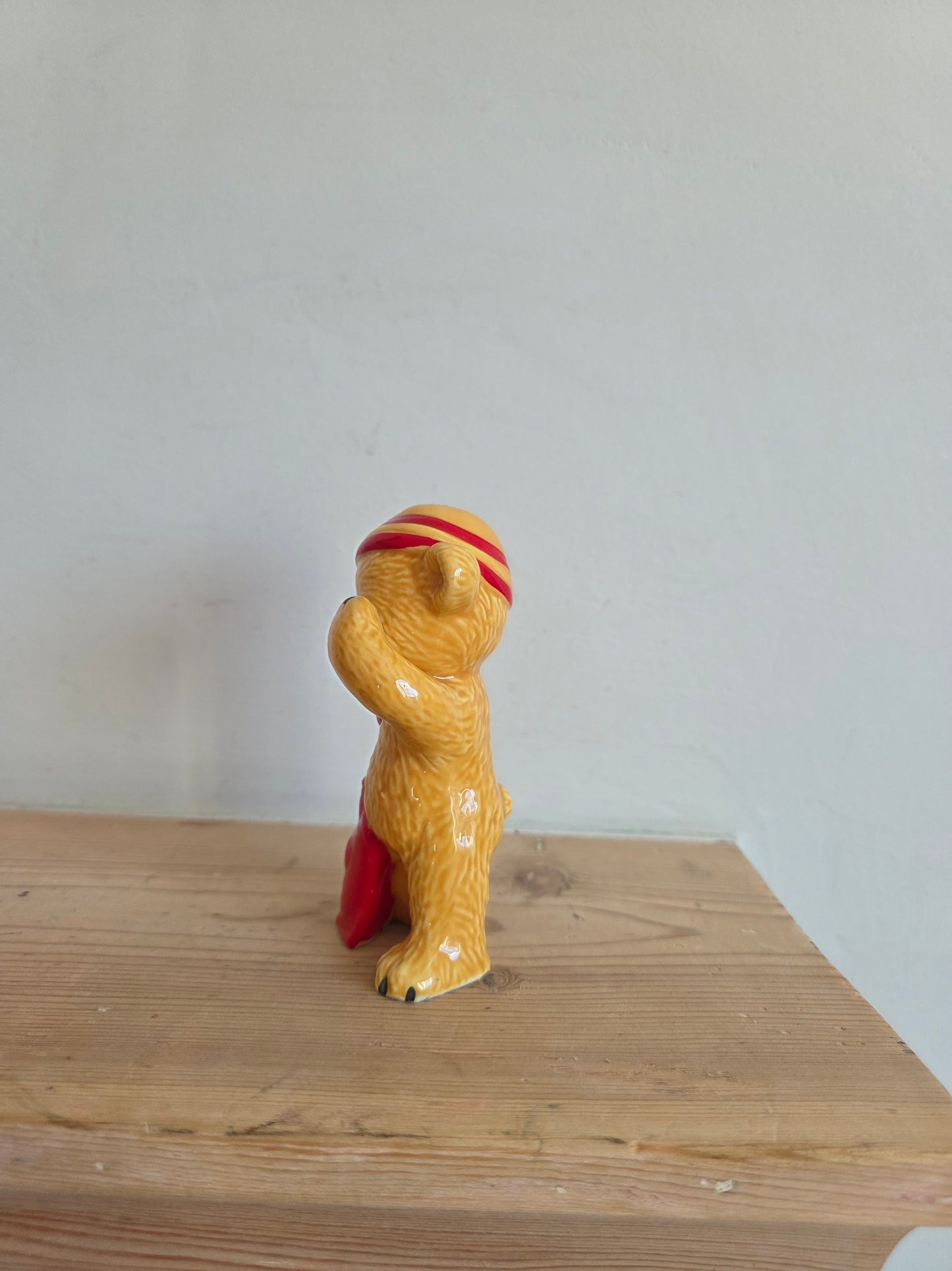 Teddy Ornament with Hot Water Bottle