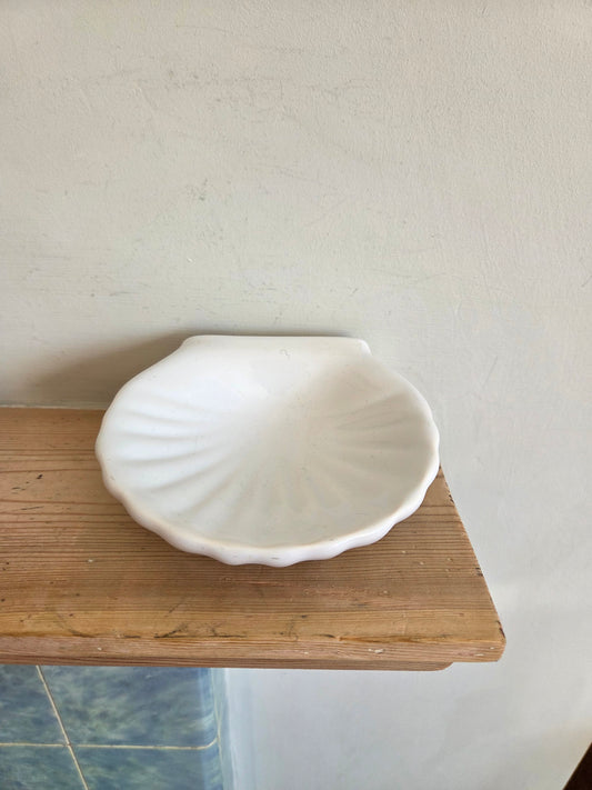 Wall Mounted Shell Soap Dish