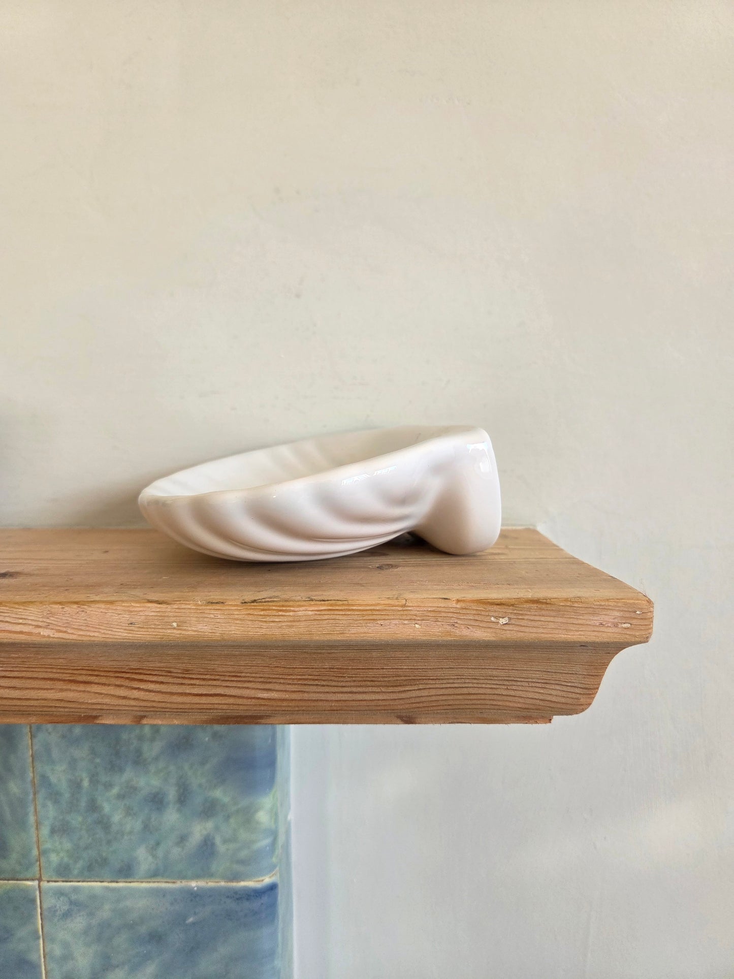Wall Mounted Shell Soap Dish