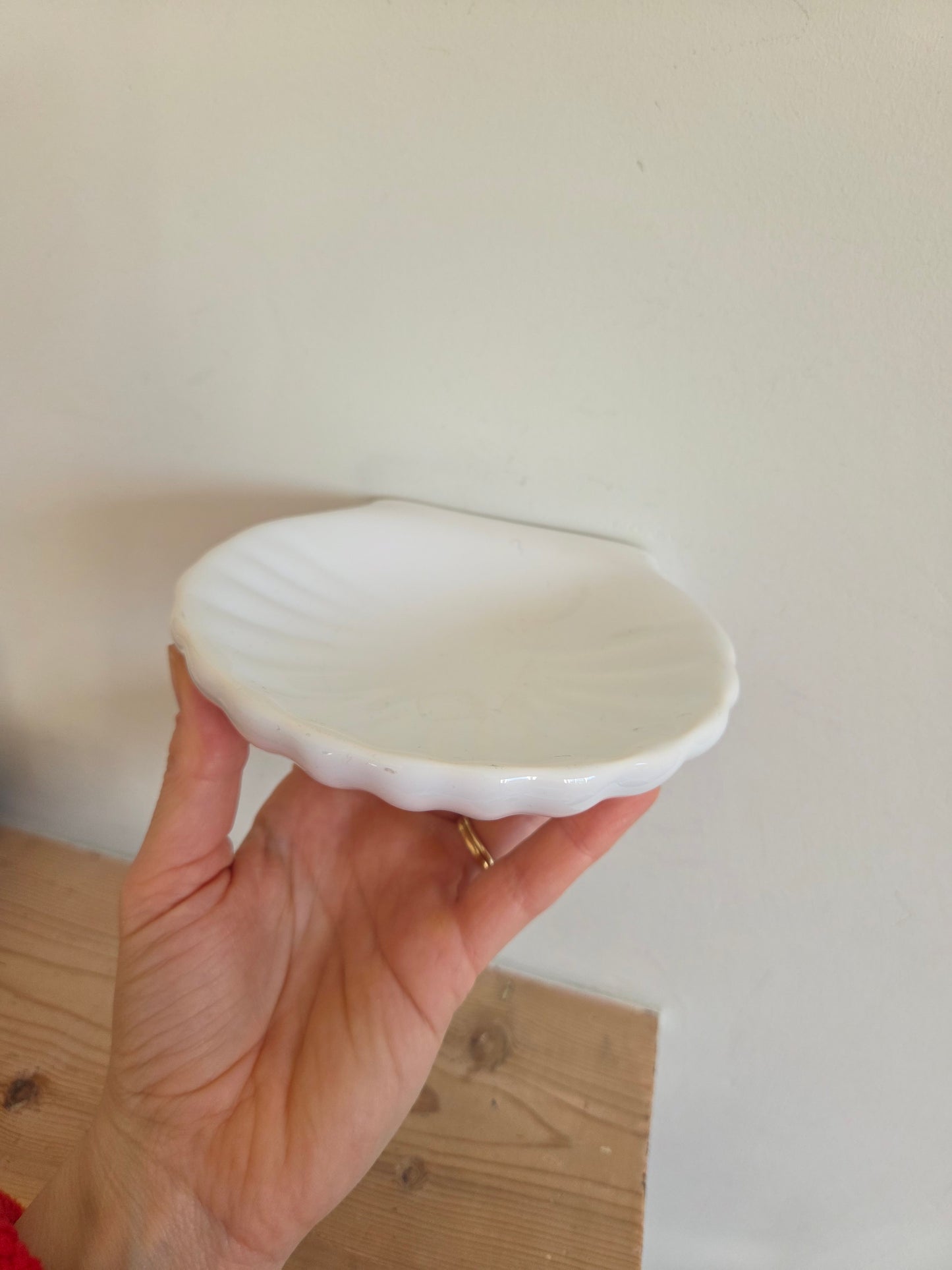 Wall Mounted Shell Soap Dish