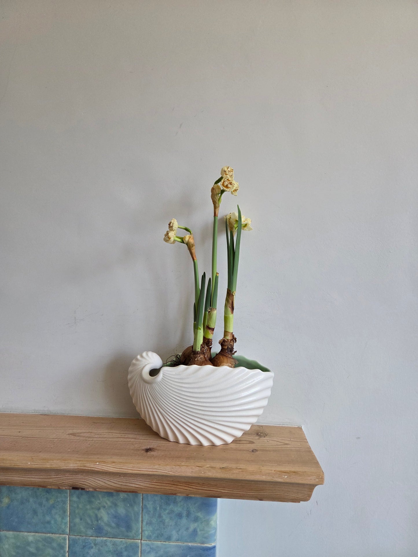 Vintage Shell Mantle Vase