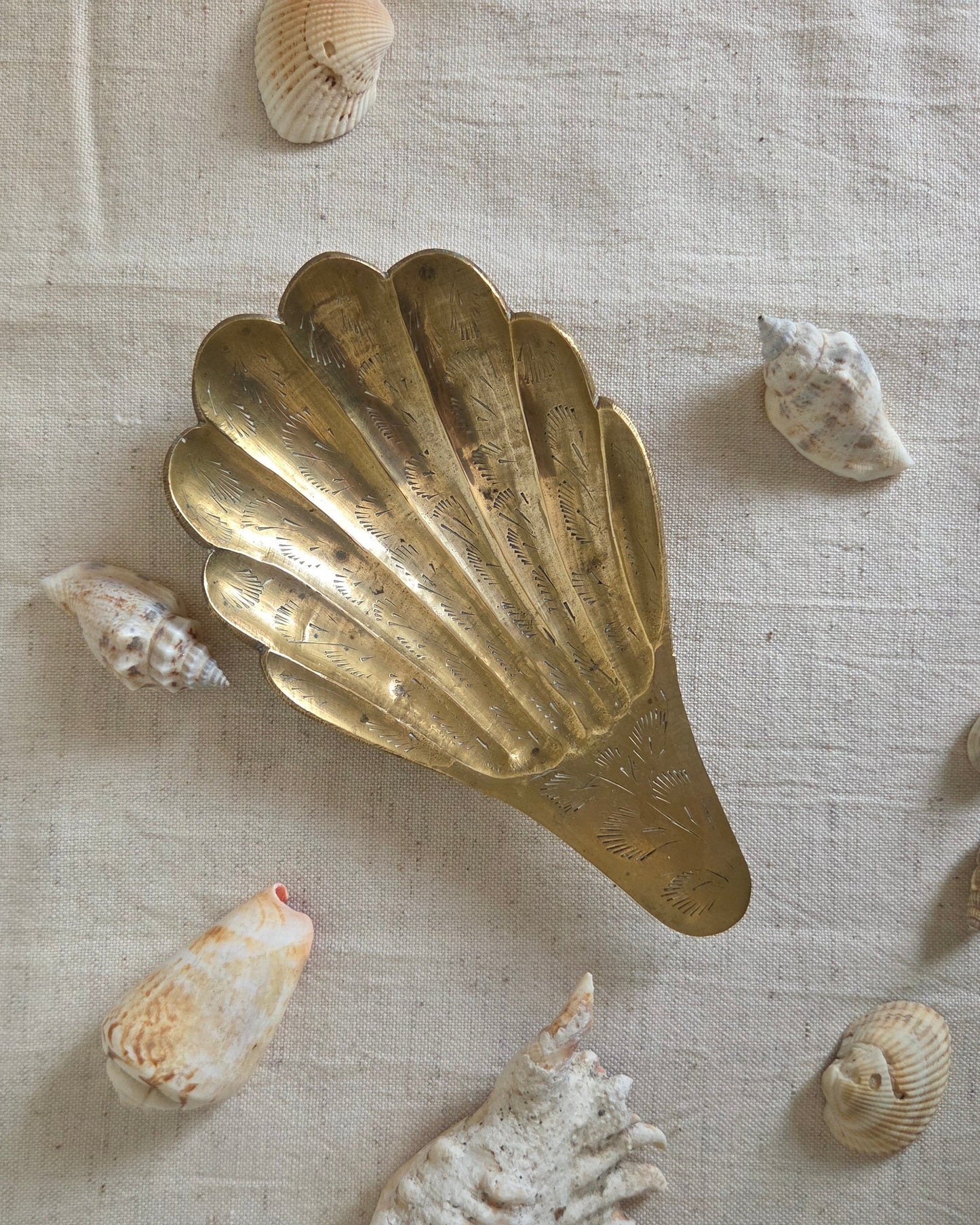 Brass Shell Trinket Dish