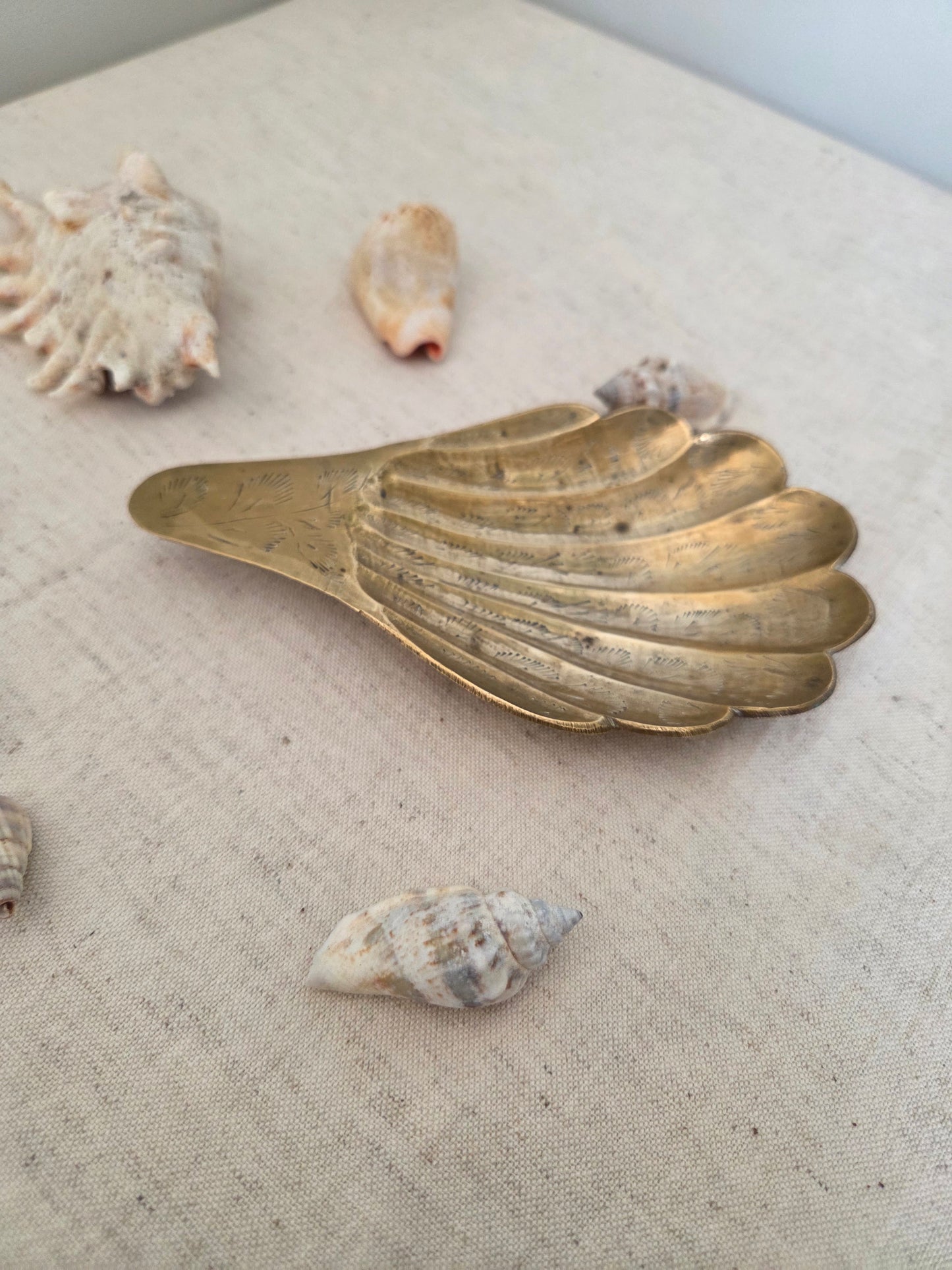 Brass Shell Trinket Dish