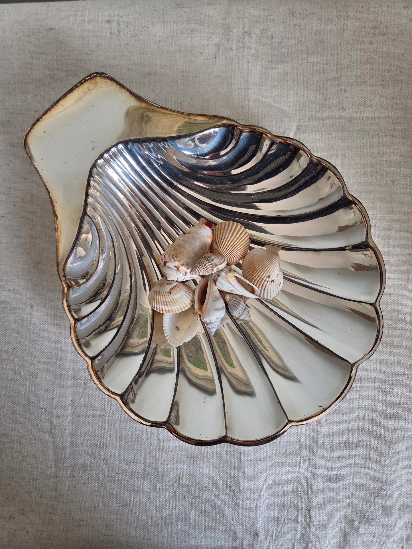 Large Silver Coloured Shell Dish or Bowl