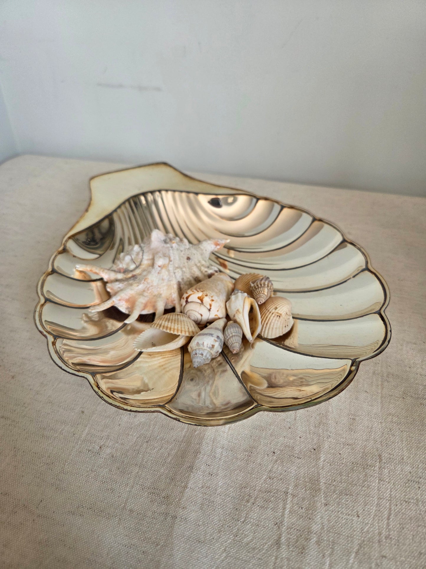 Large Silver Coloured Shell Dish or Bowl