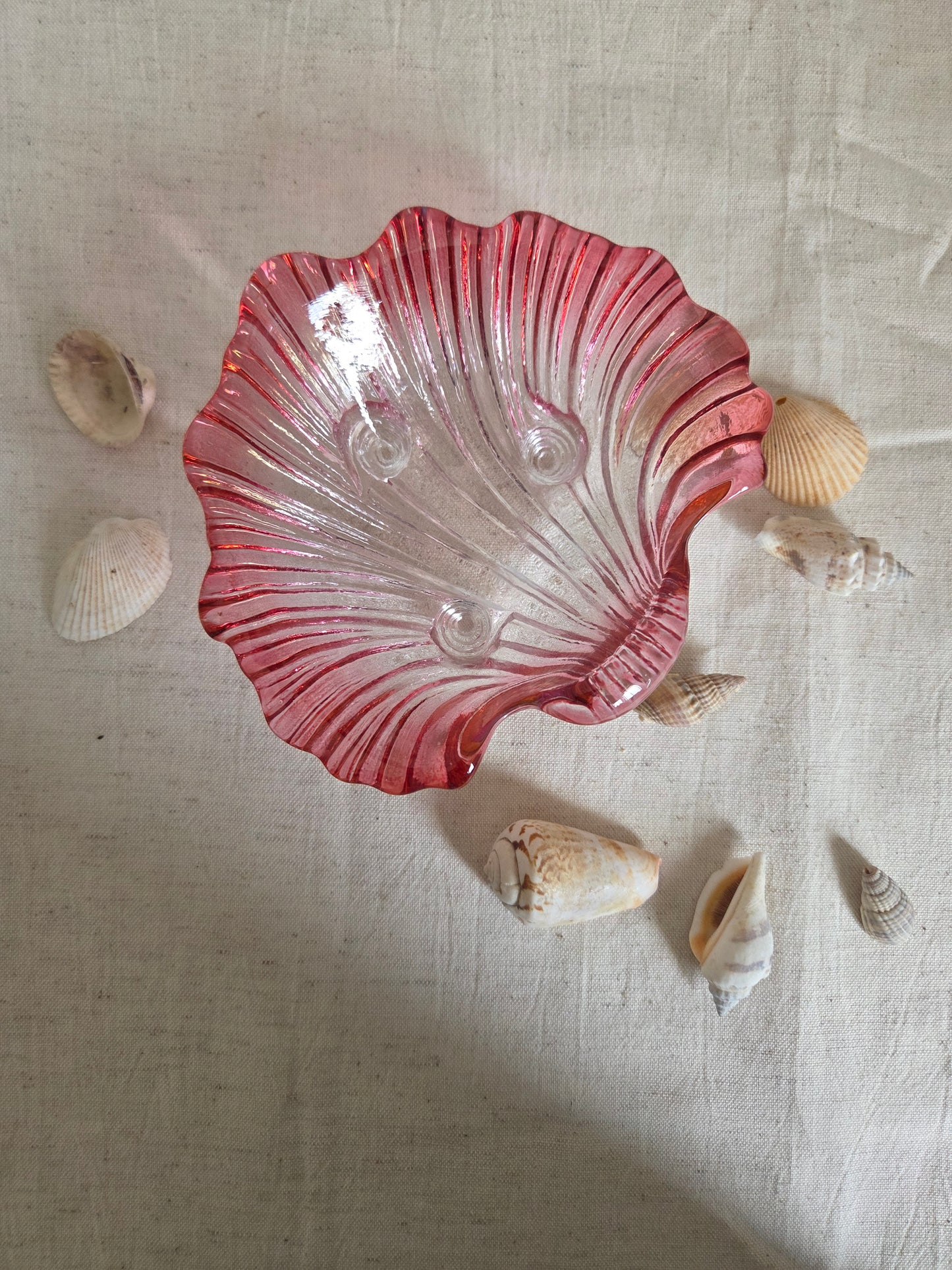 Red pink glass shell dish