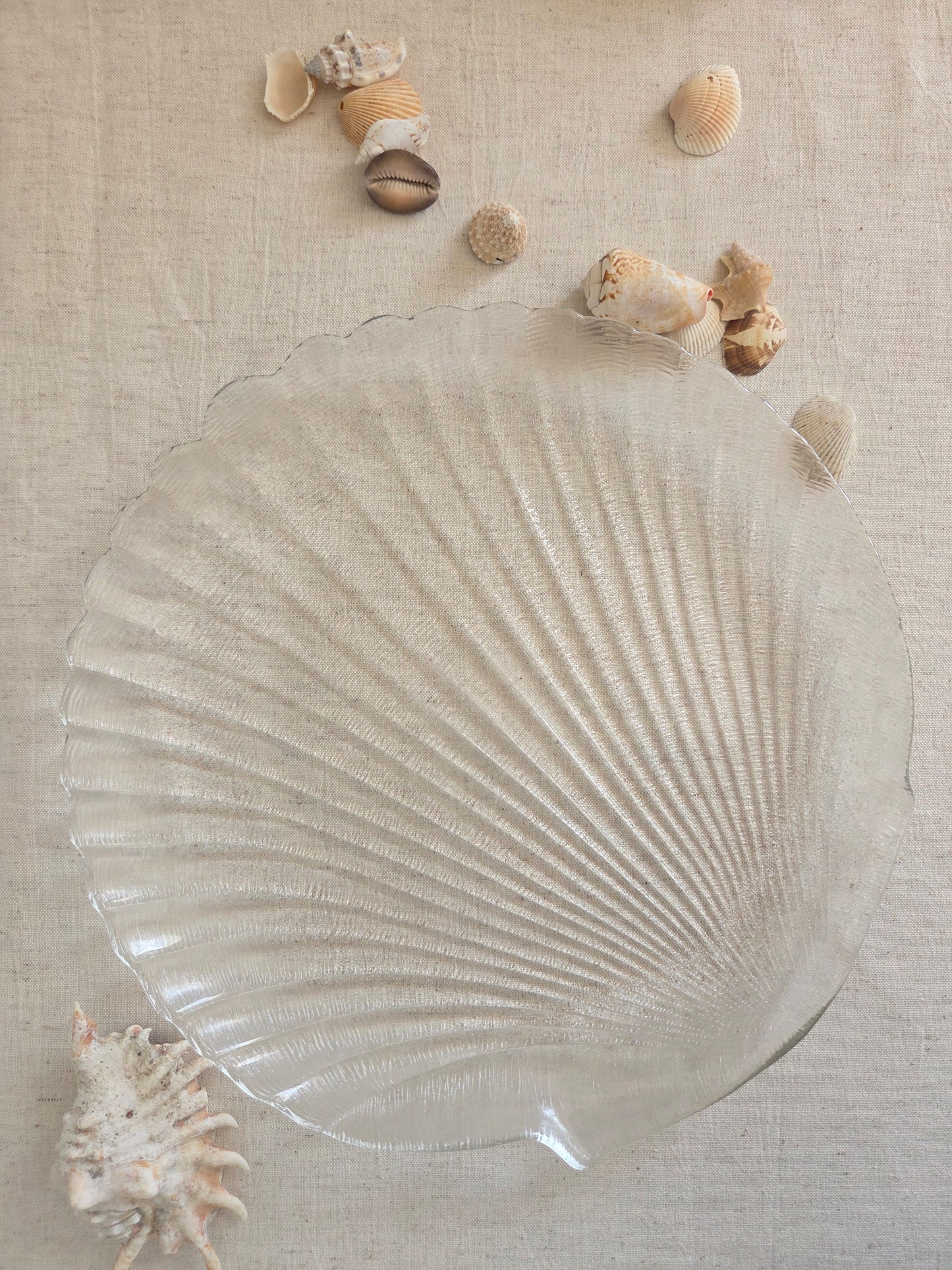 Glass Shell Platter