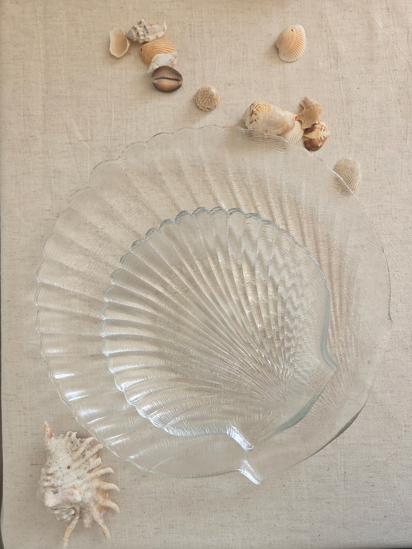 Glass Shell Platter