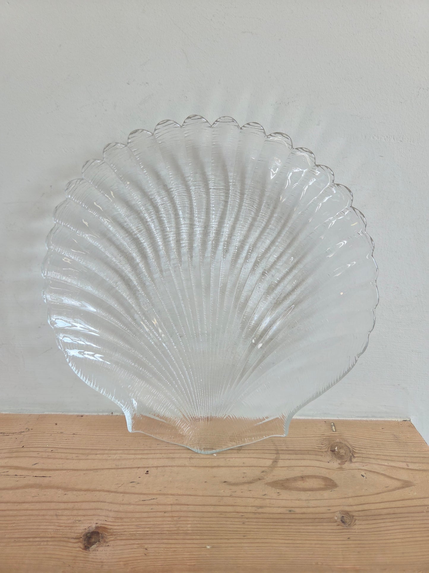 Glass Shell Plate