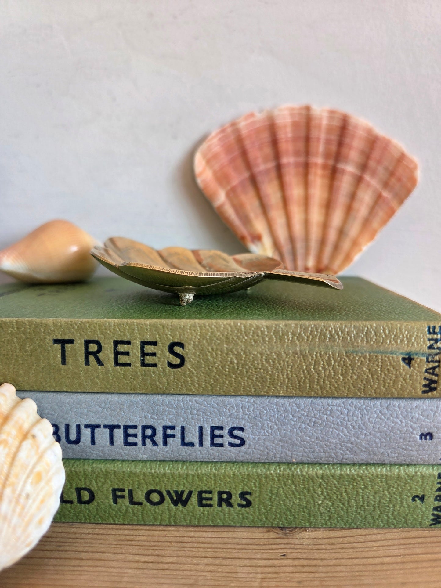 Brass Fan Shell Trinket Dish