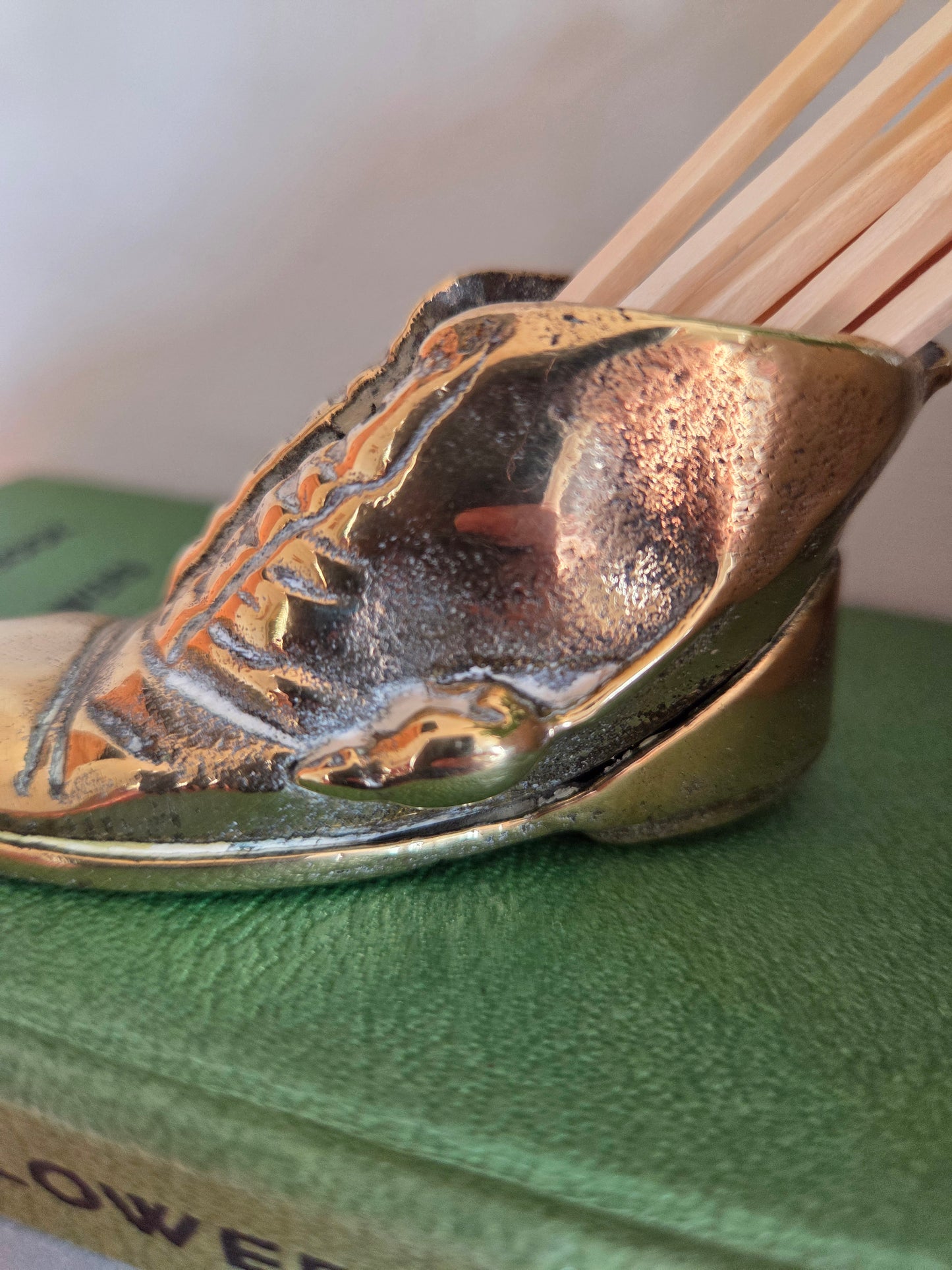Lucky Brass Match Boot with Mouse