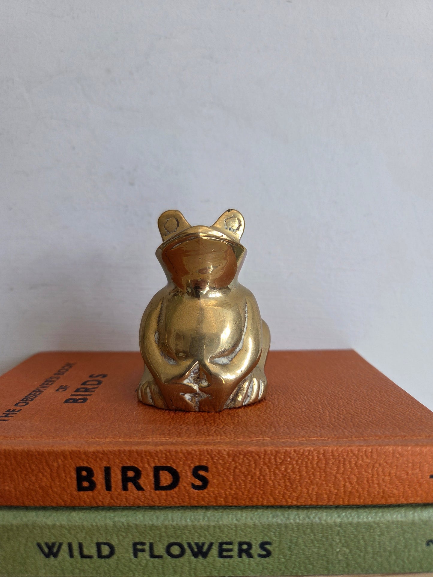 Lucky Brass Frog