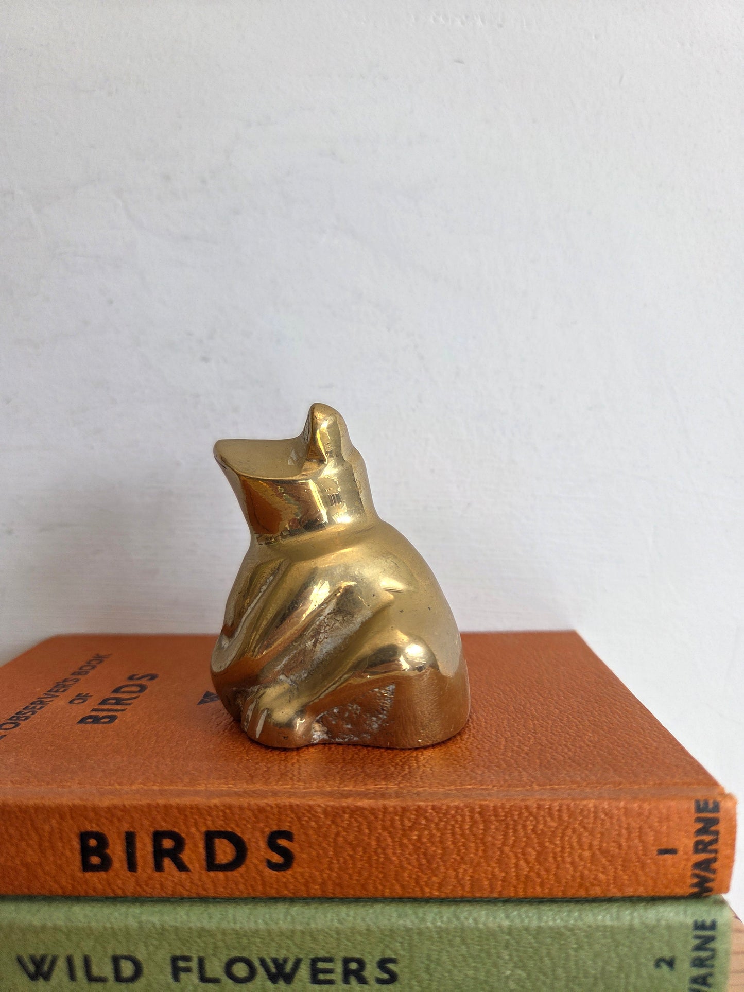 Lucky Brass Frog