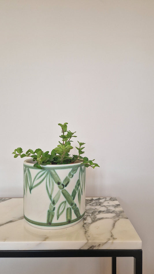 Hand Painted Vintage Poole Planter with Bamboo Motif