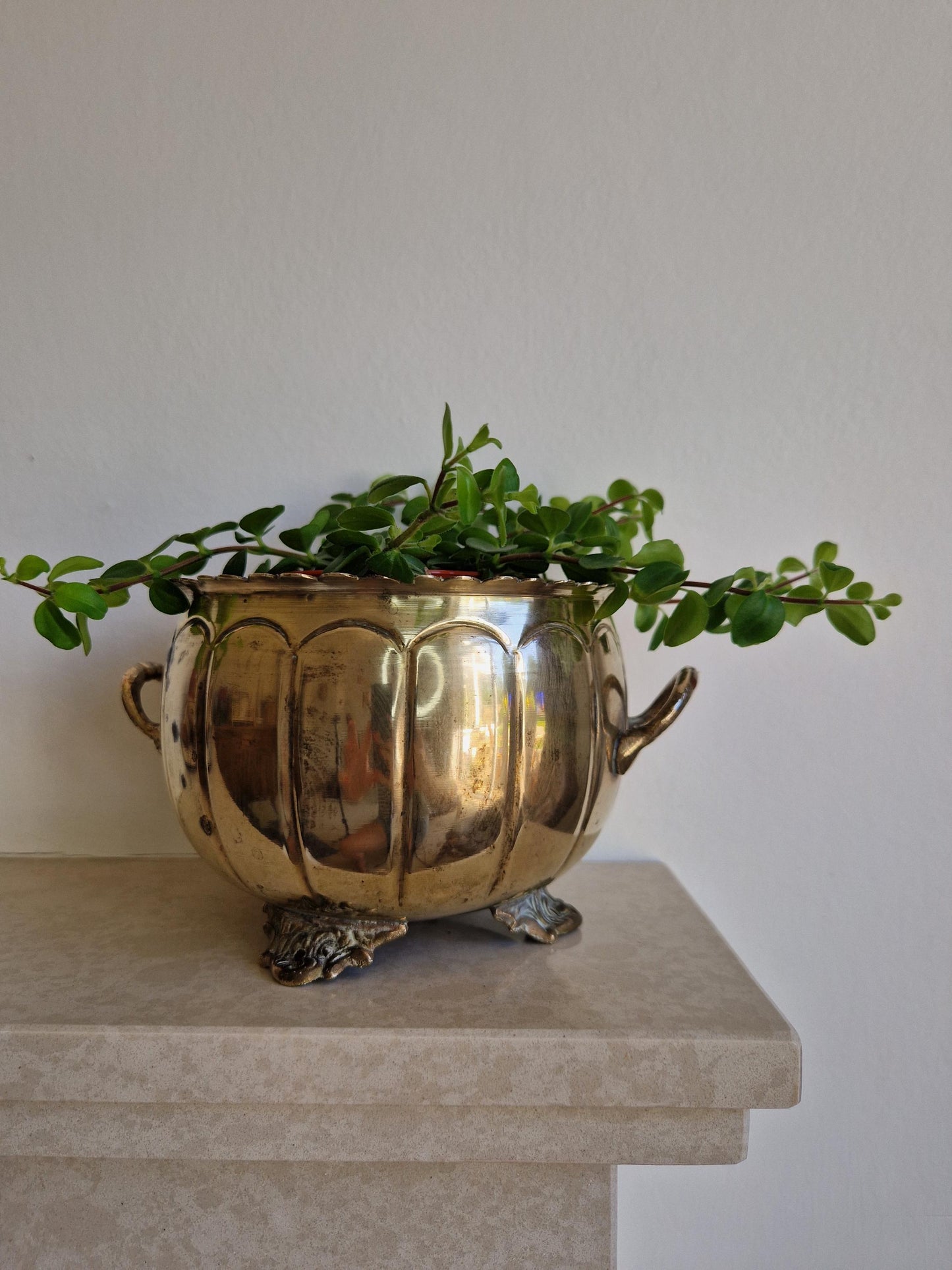 Antique Brass Footed Planter